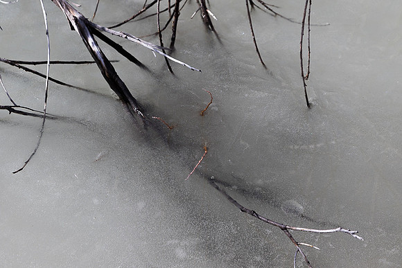Frozen in the lake #2