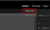 11 LR020 #10 Make Public button