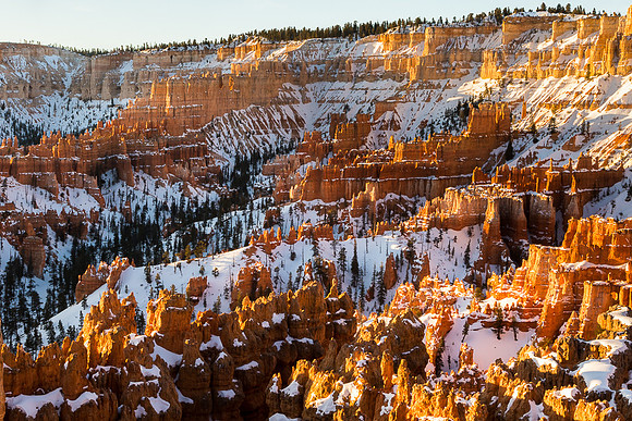 Bryce Canyon in early morning from Sunset Point #1