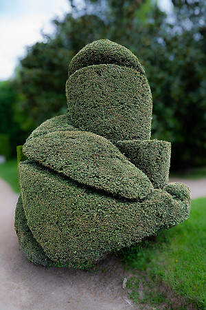 Topiary, Chateau de Cormatin