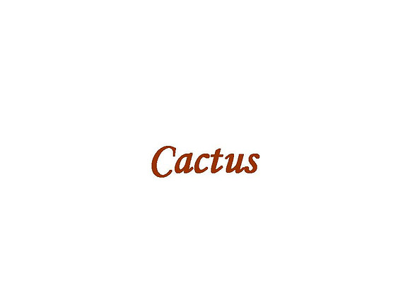 Cactus