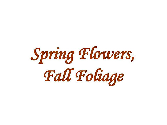 Spring Flowers, Fall Foliage