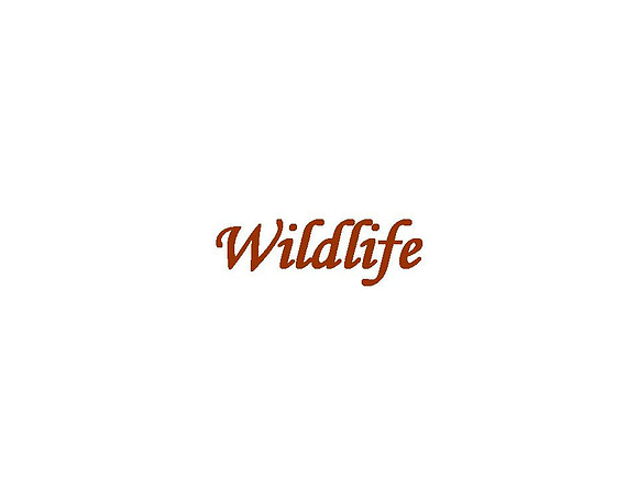 Wildlife
