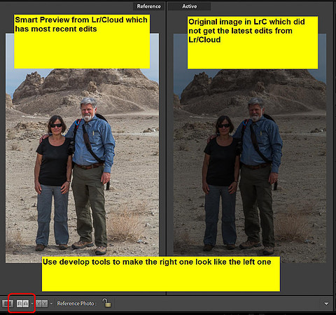 14 LrC Reference View