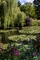 Claude Monet Garden pond #2, Giverny, France