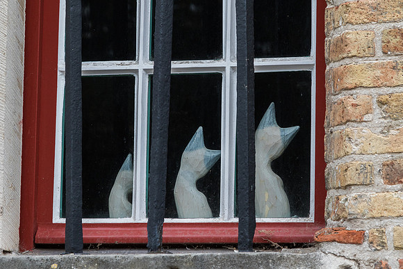 Three Porcelain cats in a Bruges window