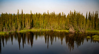 Forest & pond near Fairbanks AK area