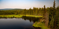 Forest & pond near Fairbanks AK area