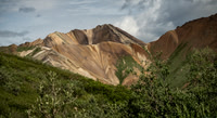 Many colors, Denali NP