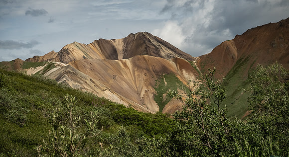 Many colors, Denali NP