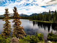 Lake and forest from the train