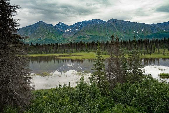 Unknown pond, south of Cantwell and Summit Lake, AK