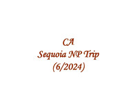 CA - Sequoia NP (2024-06)