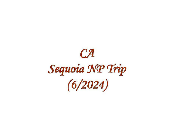 CA - Sequoia NP (2024-06)