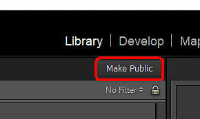 02 LR028 Make Public