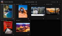 03 LR028 Shared Page