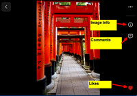 14 LR028 User view Loupe View