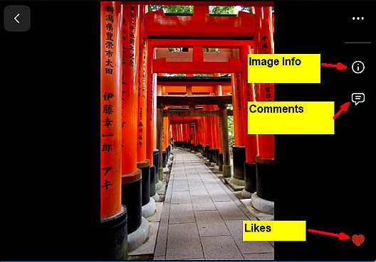 14 LR028 User view Loupe View