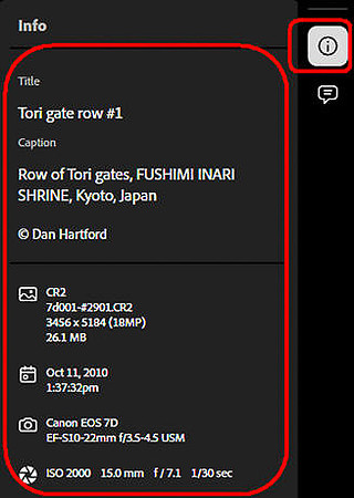 15 LR028 User View Metadata Panel