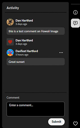 16 LR028 User View Activity Panel