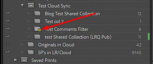 17 LR028 LrC activity badge in Collection Panel