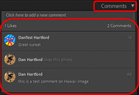 19 LR028 LrC Comments Panel