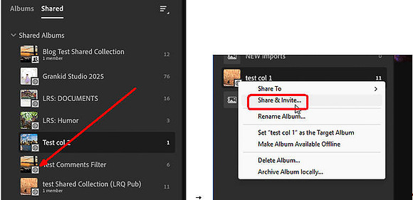 01 LR028 LR Shared Tab
