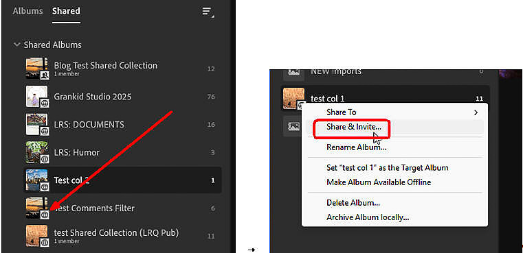 01 LR028 LR Shared Tab