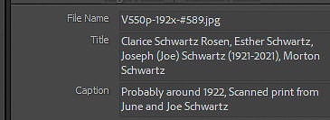 21 Title & Caption in Metadata Panel