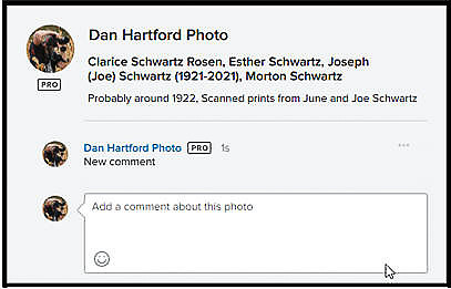 02 Flickr Info Box