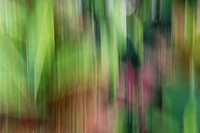 Vertical flower Abstract #2