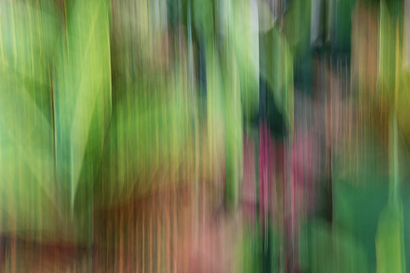 Vertical flower Abstract #2