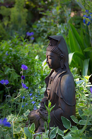 Peacful Garden