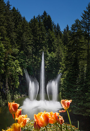 Ross Fountain