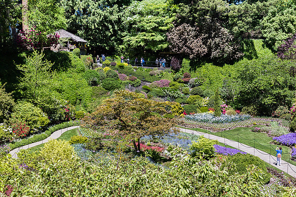 Butchart Sun\ken Garden