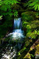Butchart Waterfall