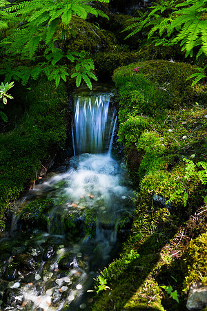 Butchart Waterfall