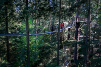 Capilano tree top walk