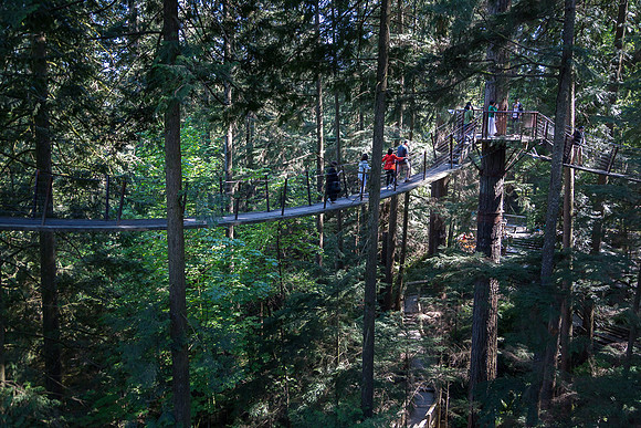 Capilano tree top walk