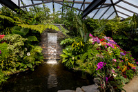 Tropical Profusion  (Butchart Garden)