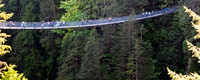 Capilano sususpension bridge