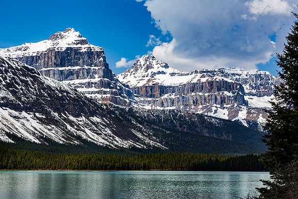 Waterfowl Lake and Canadian Rockies