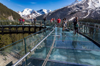 Glacier Skywalk #3