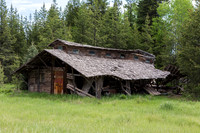 Meadow near Polebridge Montana