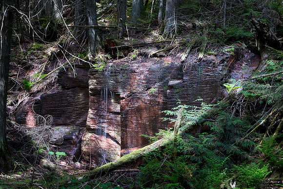 Mini falls over red rock