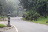Fog.  Ba Vi Resort.  Ba Vi National Park