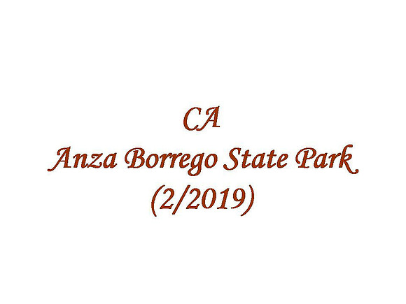 CA - Anza-Borrego State Park (2019-02)