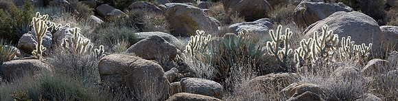 Blair Valley, Pictograph Trail, Anza-Borrego SP