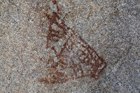 Pictograph #2, Blair Valley, Pictograph Trail, Anza-Borrego SP