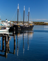 Three Master (the Silva), Halifax Harbor